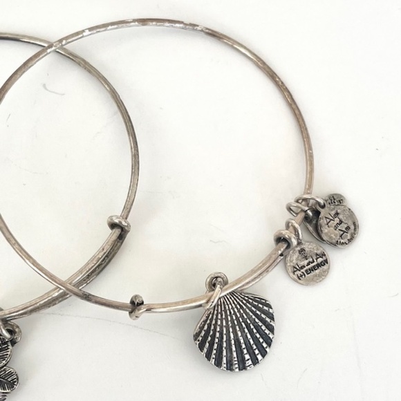 Alex and Ani 4 silver Charmed Bracelets - Picture 5 of 6